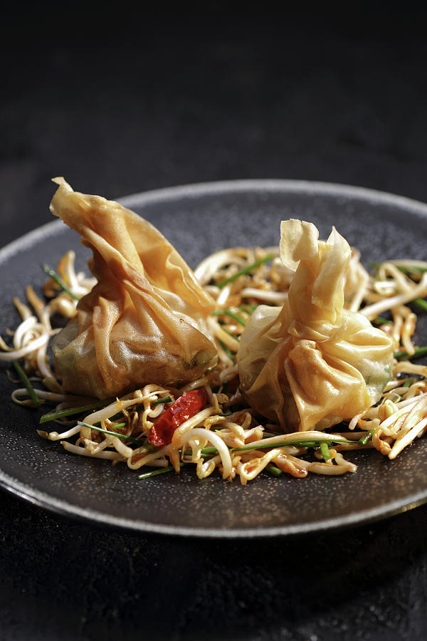 Dim Sum On A Bed Of Beansprouts china Photograph by Frank Weymann
