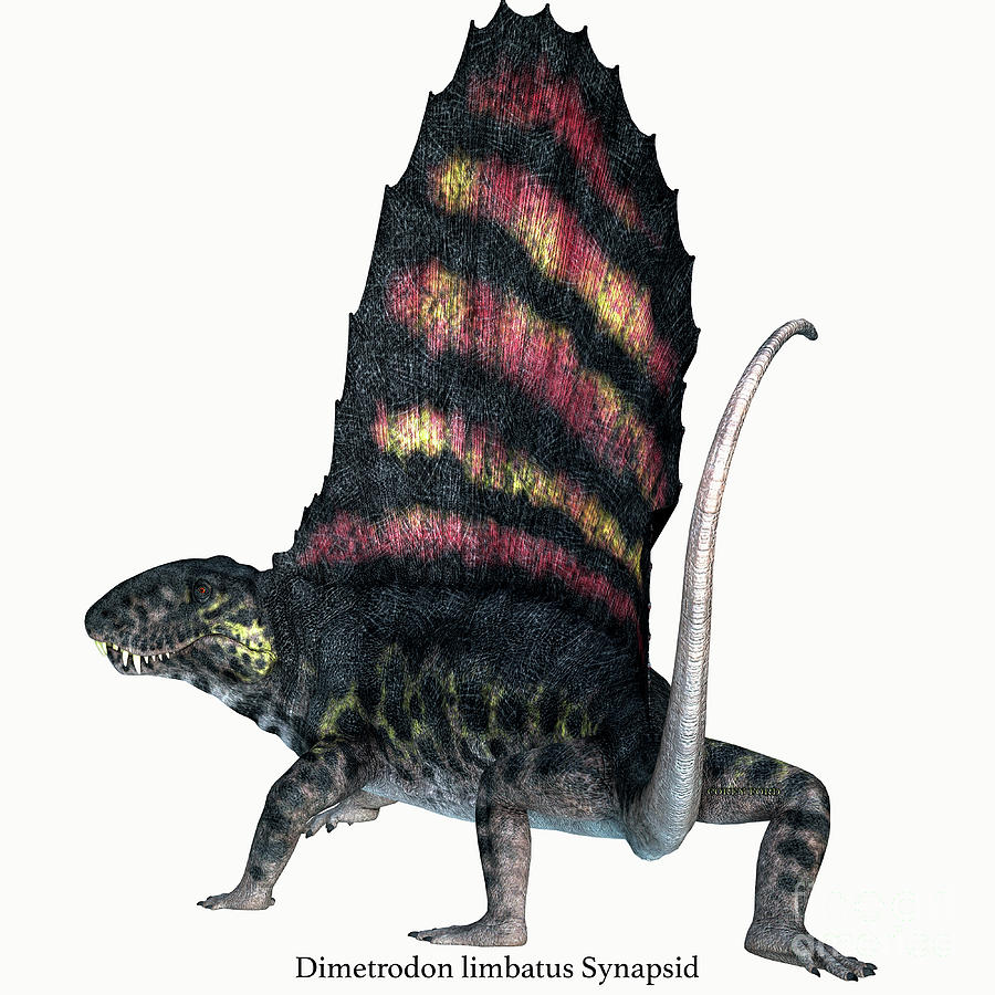 Dimetrodon Permian Reptile Tail with Font Digital Art by Corey Ford
