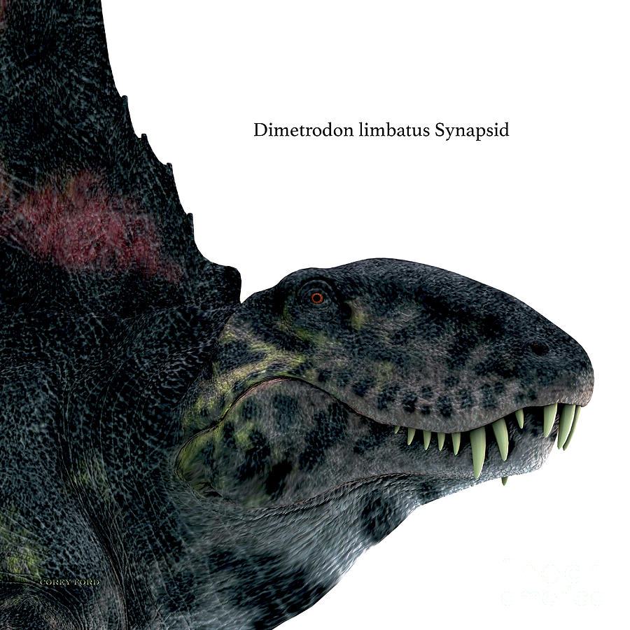 Dimetrodon Reptile Head with Font Digital Art by Corey Ford
