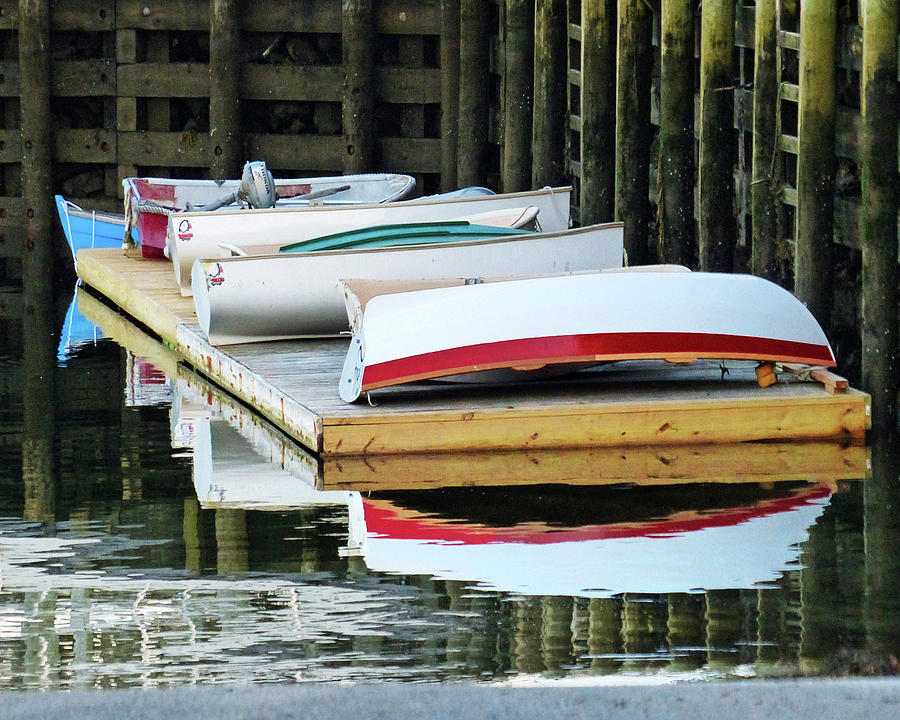 Dinghy Dock Photograph by Carl Sheffer