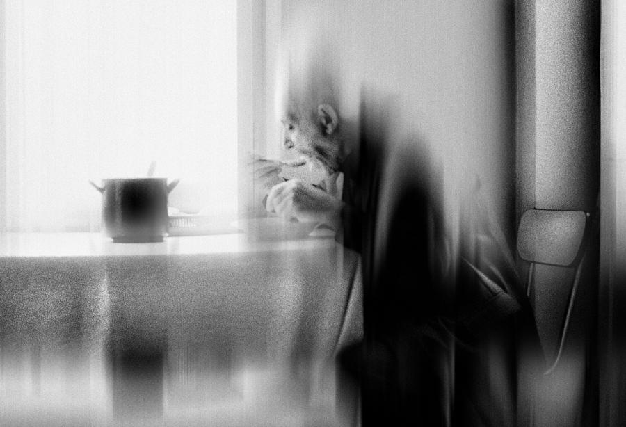 Dining In The Silence Of Oblivion Photograph by Dragan Ristic
