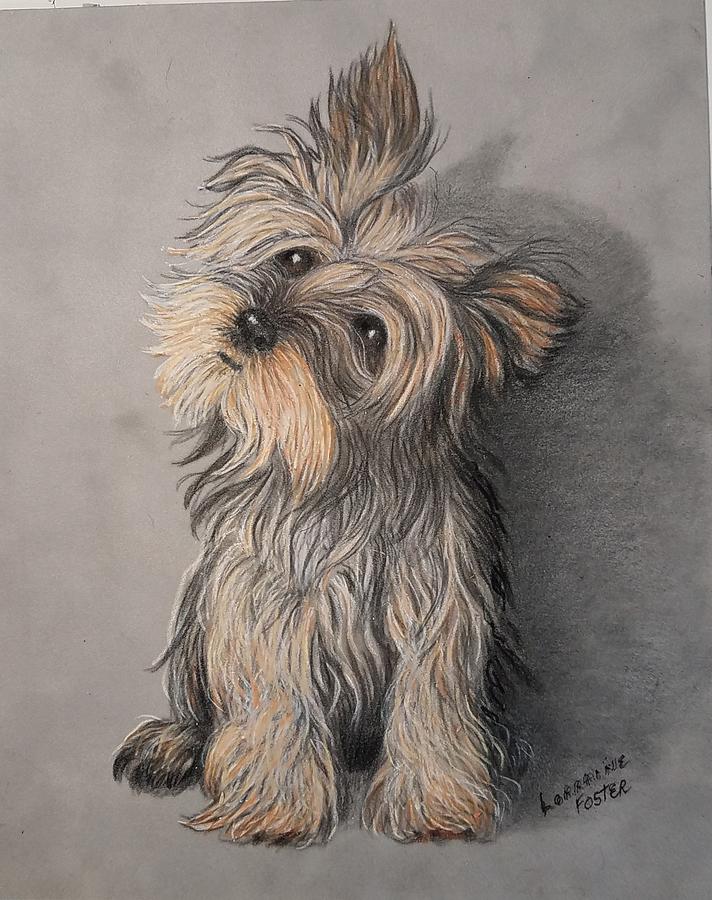 Dinky Dog Drawing by Lorraine Foster