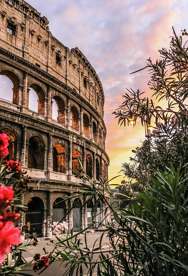 dinner-in-rome-photograph-by-matthew-thwing-fine-art-america