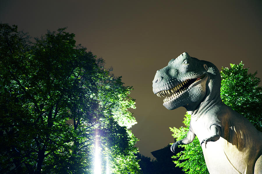Dinosaur And Trees At Night Photograph by Thomas Northcut