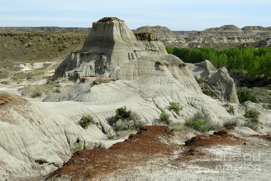 Dinosaur landscape by Frank Townsley Dinosaur landscape by Frank Townsley