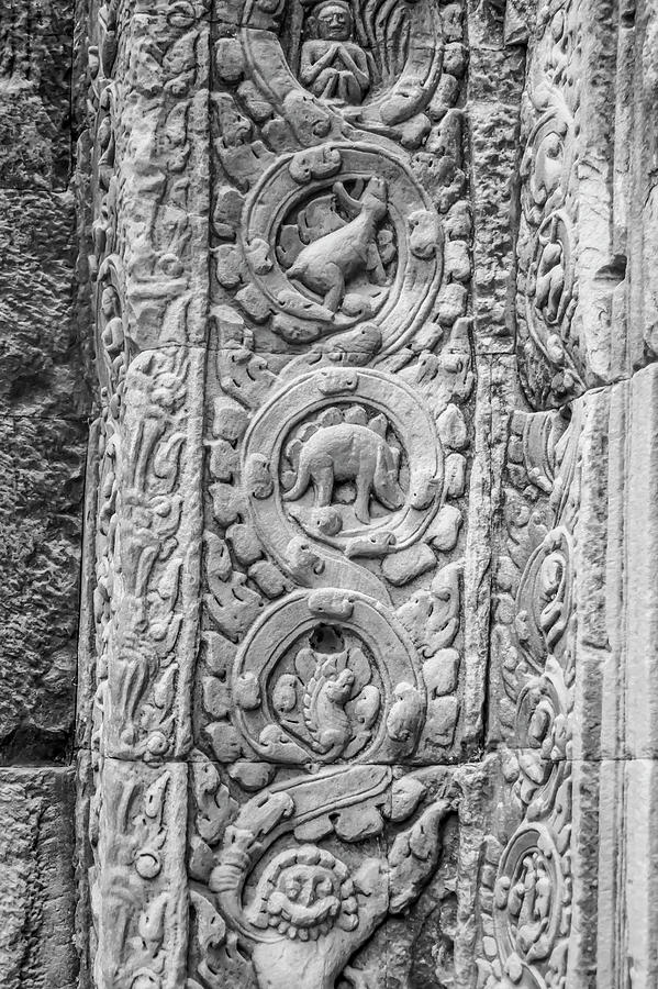 Dinosaur of Ta Prohm, Siem Reap, Cambodia in black and white Photograph by Karen Foley