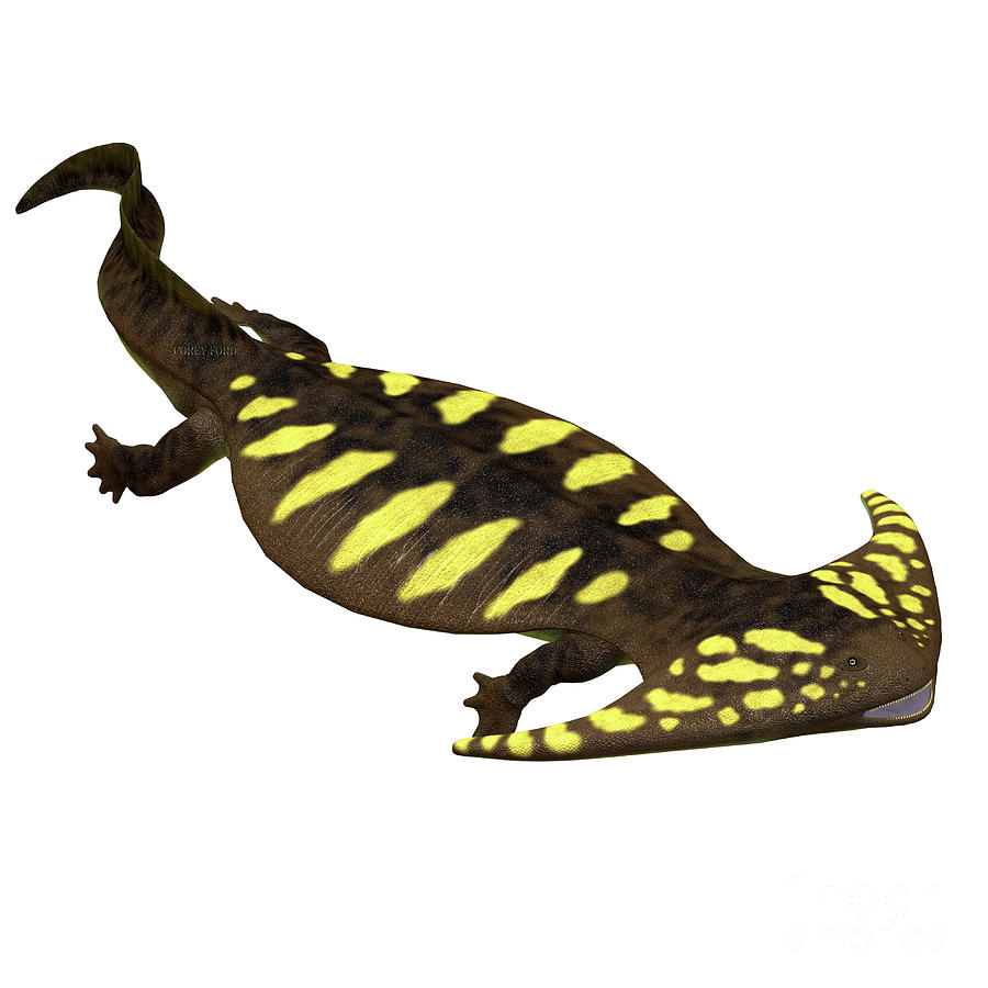Diplocaulus Amphibian Side Profile Digital Art by Corey Ford - Pixels