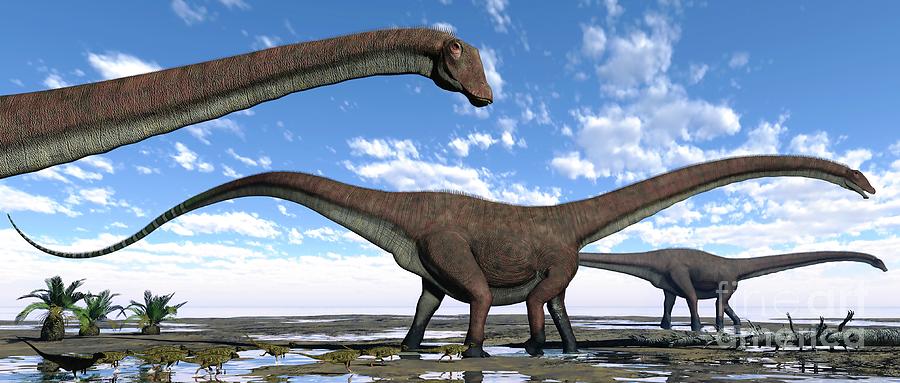 types of dinosaurs diplodocus