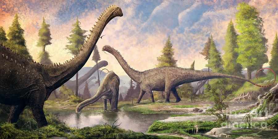 Prehistoric Photograph - Diplodocus Dinosaurs by Mark P. Witton/science Photo Library