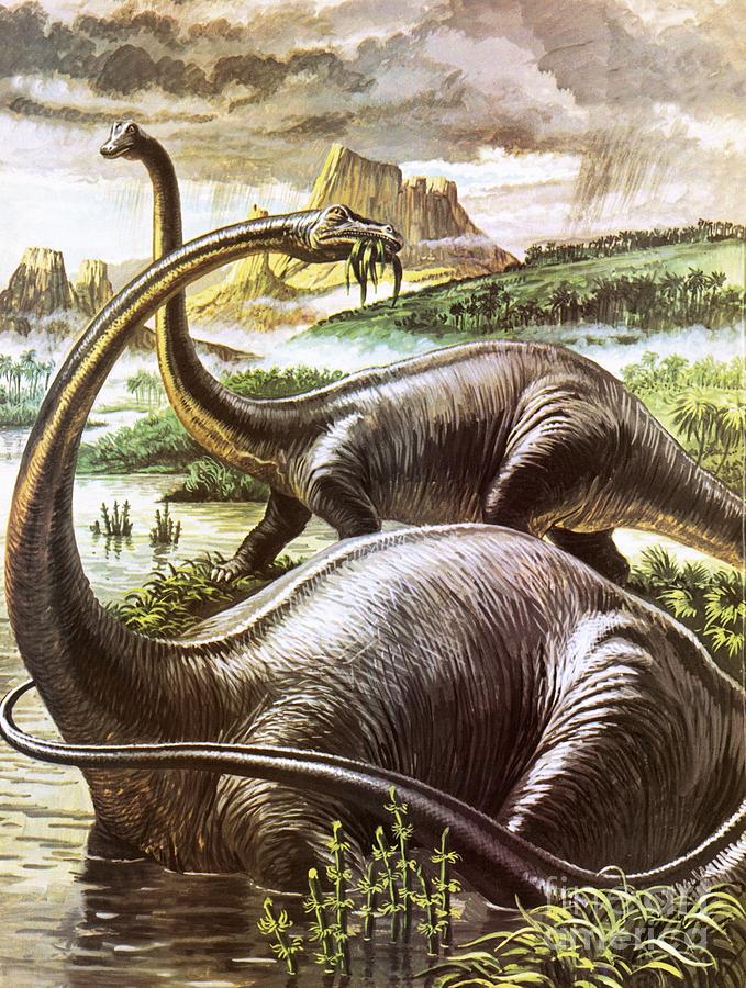 Prehistoric Painting - Diplodocus by Roger Payne