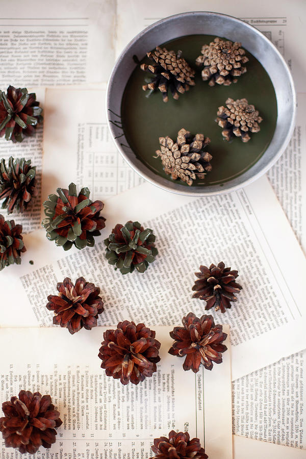 Dipping Pine Cones In Green Paint Photograph by Alicja Koll