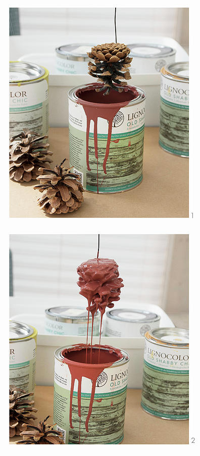 Dipping Pine Cones In Paint Photograph by Astrid Algermissen