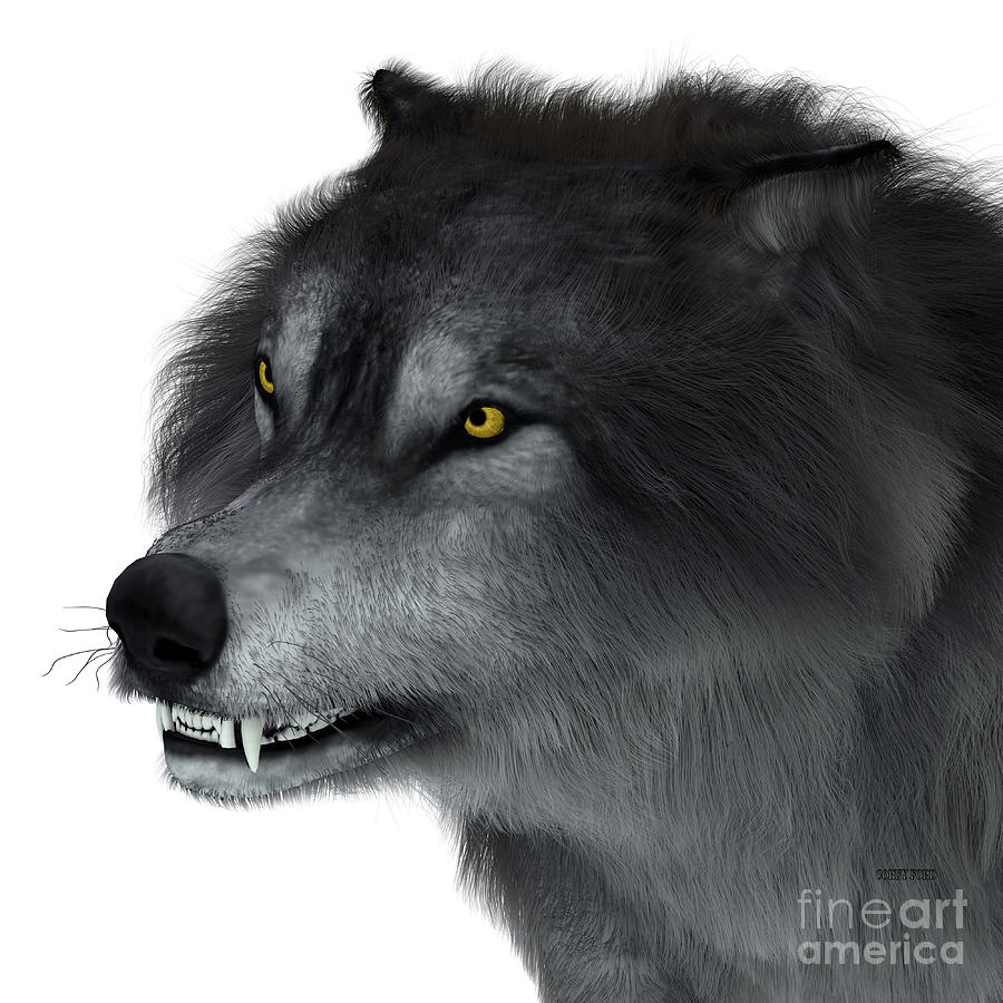 Prehistoric Digital Art - Dire Wolf Head by Corey Ford