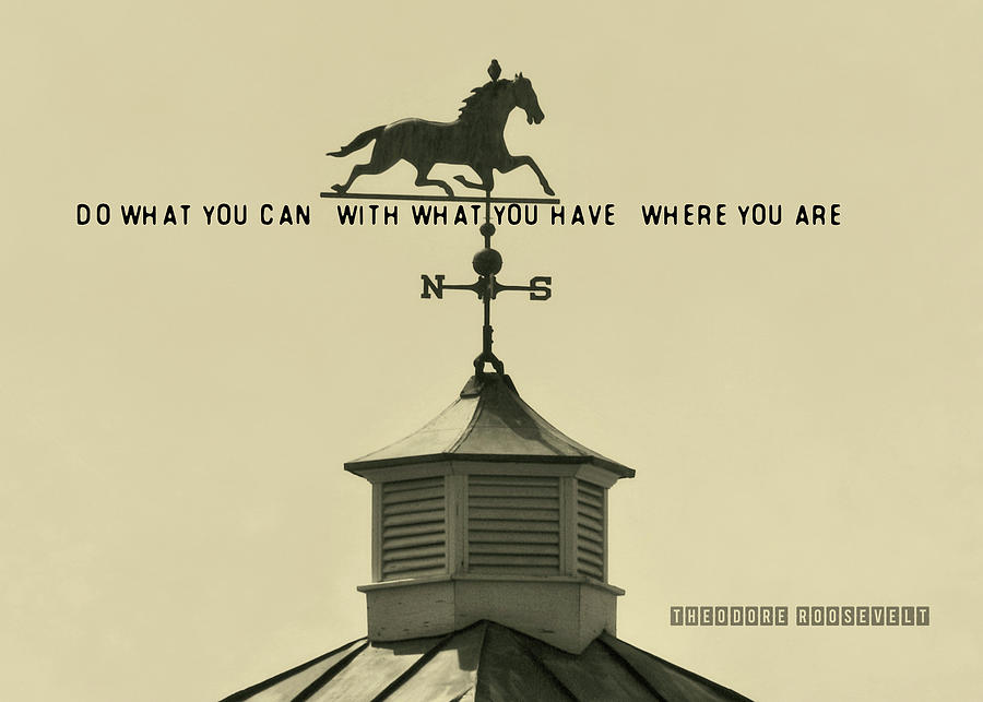 DIRECTION quote Photograph by Dressage Design