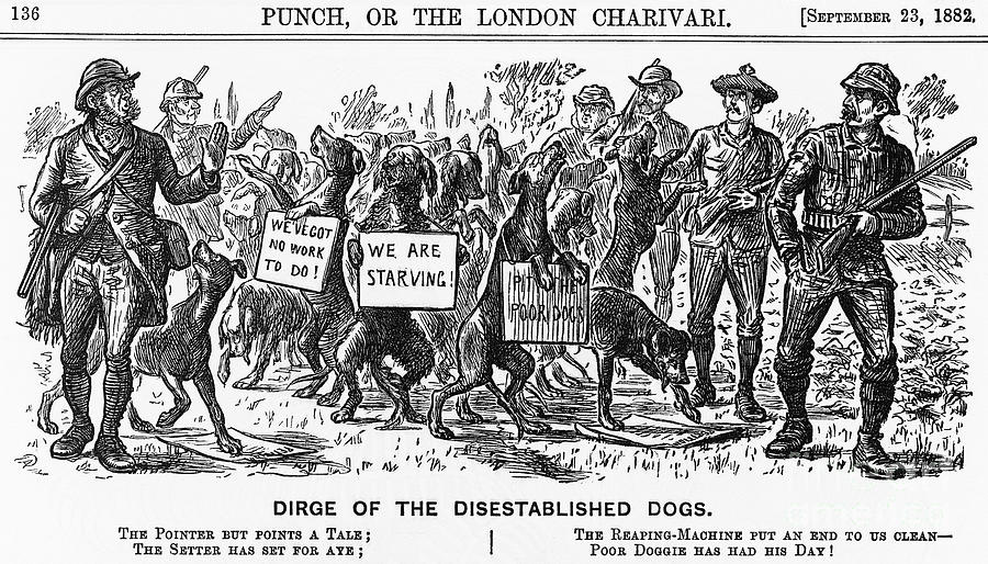 Dirge Of The Disestablished Dogs, 1882 Drawing by Print Collector