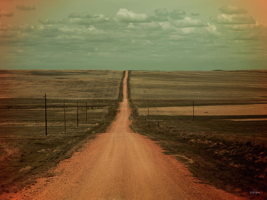 Dirt Road Photograph by Leland D Howard