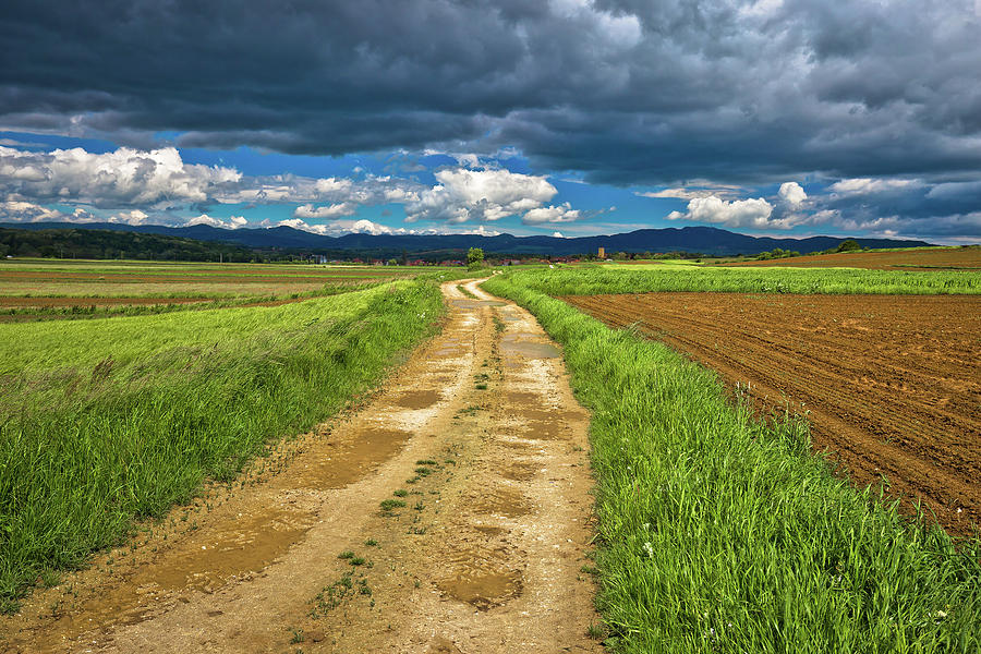 Dirt road under cloudy sky view Photograph by Brch Photography