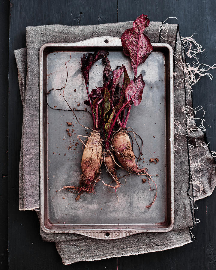 Dirty Beetroots, Freshly Picked From The Garden Photograph by Miha Lorencak