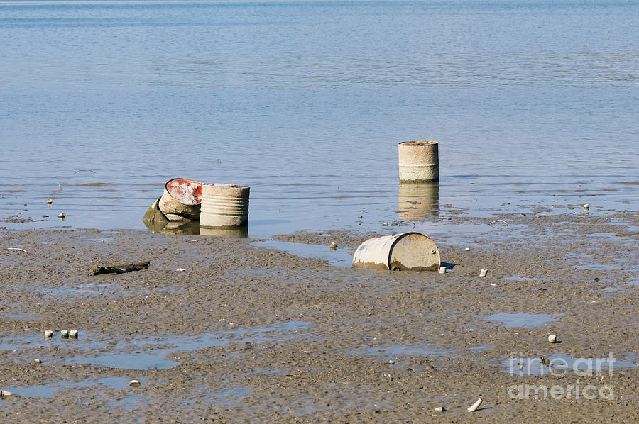 Discarded Oil Drums Photograph by Microgen Images/science Photo Library