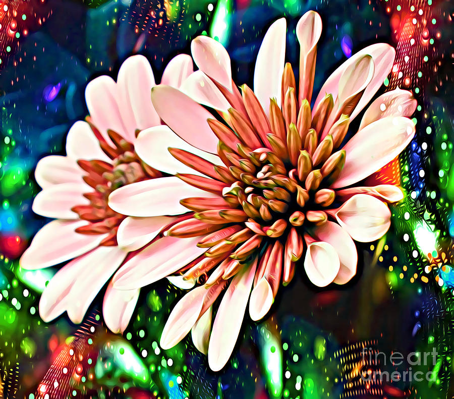 Disco Daisies #1 by Trudee Hunter Disco Daisies #1 by Trudee Hunter