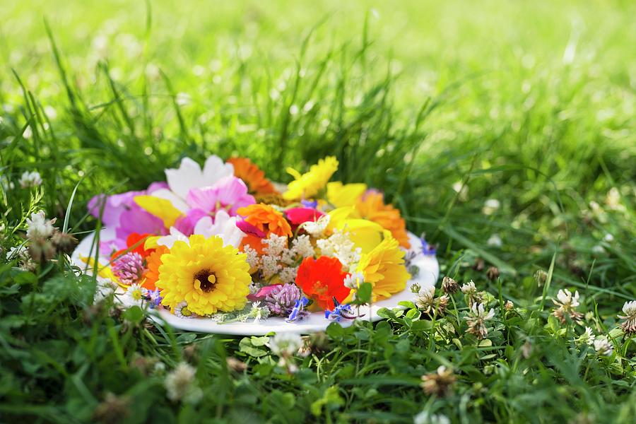 Dish Of Edible Flowers On Grass Photograph by Mandy Reschke