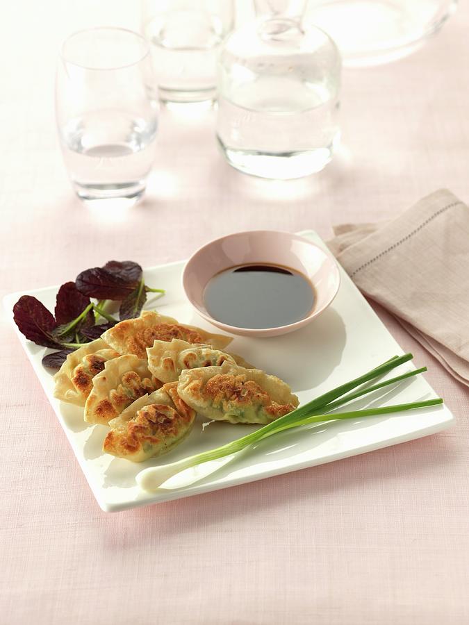 Dish Of Gyozas And Soya Sauce Photograph by Gelberger