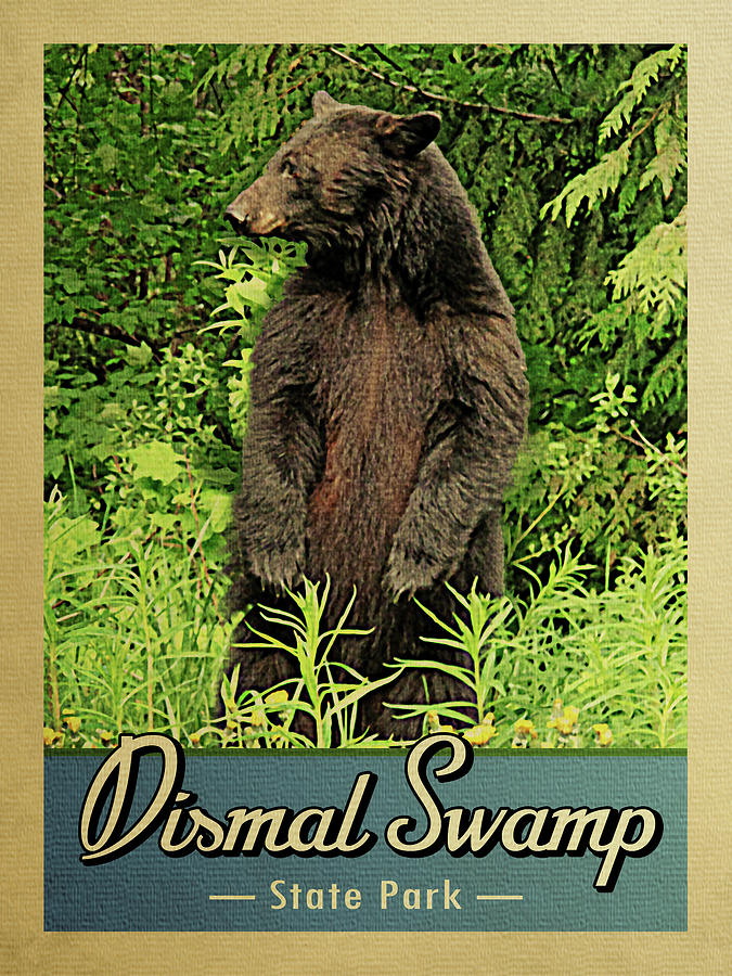 Dismal Swamp  State Park Vintage Bear Digital Art by Flo Karp