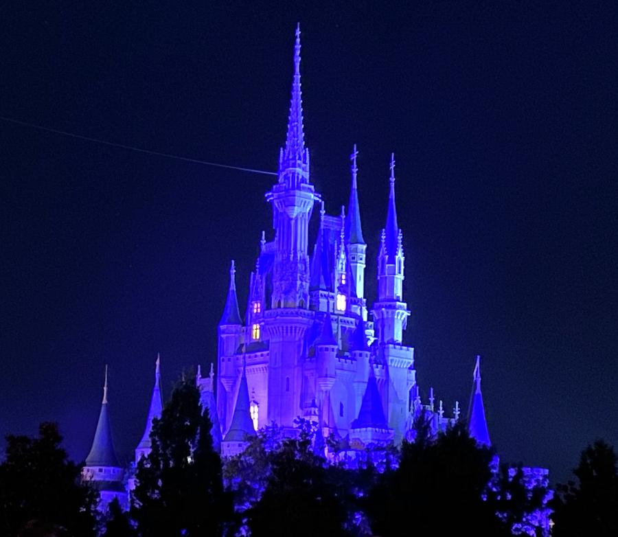 Disney Castle at night Photograph by Michael Albright