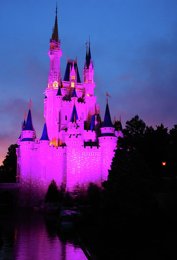Disney Castle illuminated Photograph by James Kirkikis