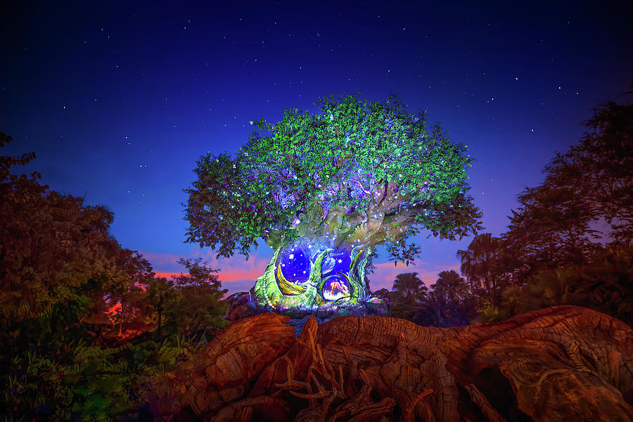 Disney's Tree of Life at Animal Kingdom Photograph by Mark Andrew Thomas -  Pixels