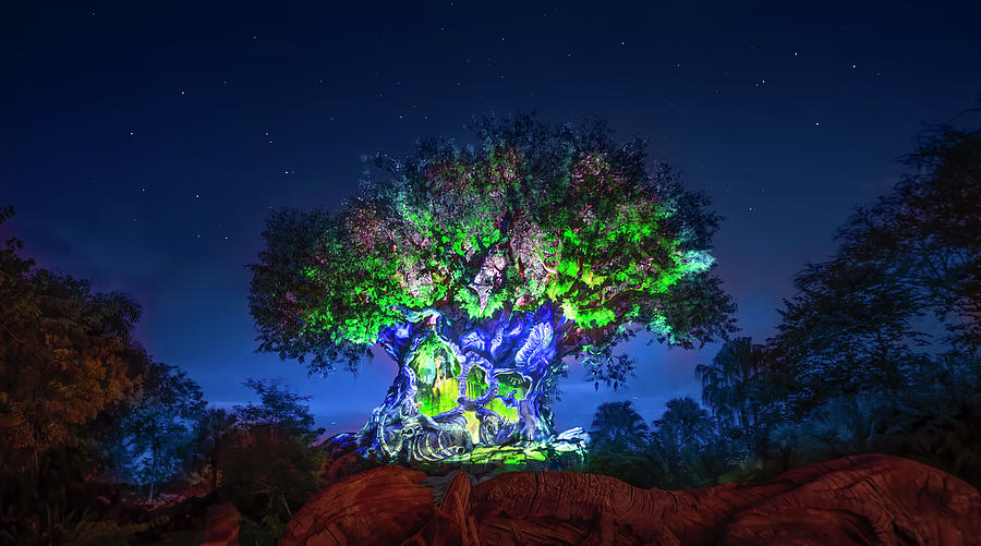 Disneys Tree of Life Panorama Photograph by Mark Andrew Thomas