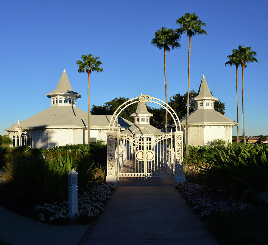 Disney's Wedding Pavilion work B Photograph by David Lee Thompson - Pixels