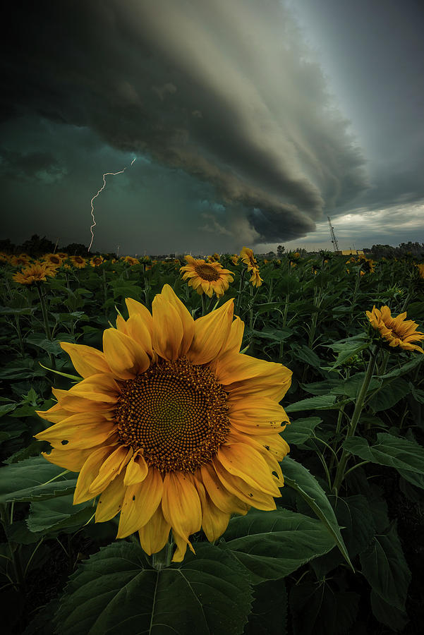 Severe Thunderstorm Photograph - Disorder by Aaron J Groen