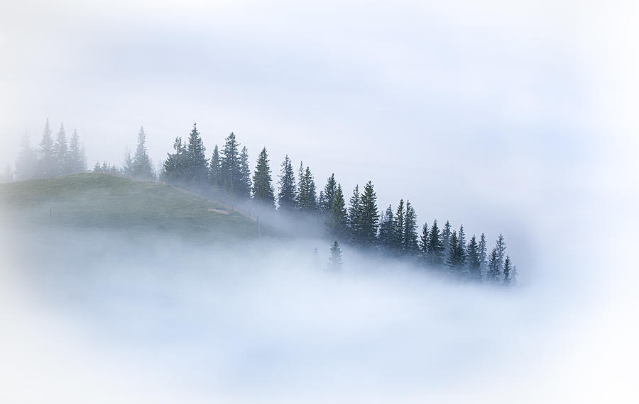 Dissolving In The Fog Photograph by Sergei Viktorov