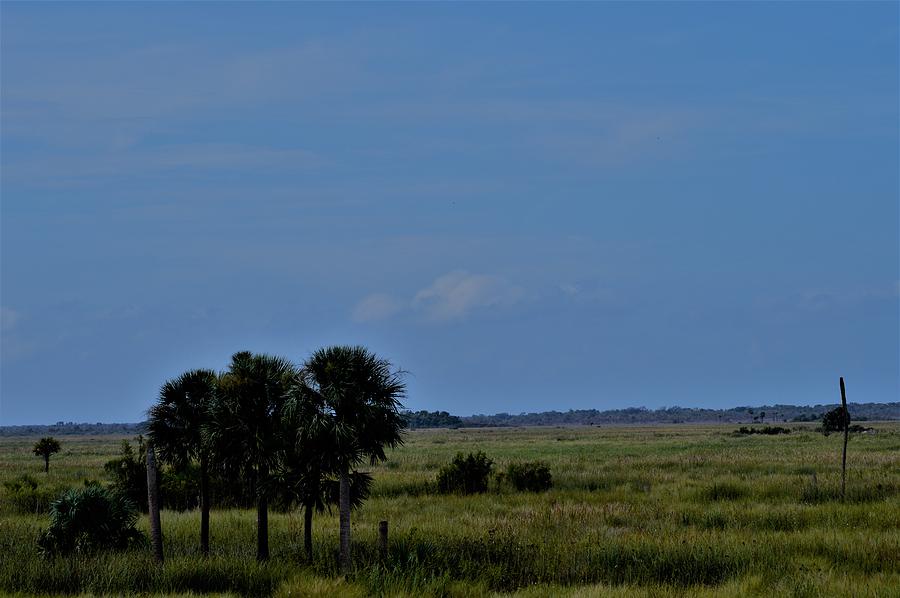 Distant Landscape  Photograph by Warren Thompson