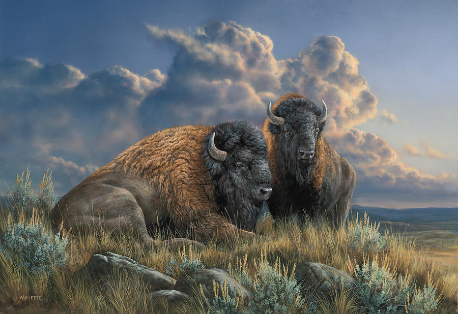 Bison Painting - Distant Thunder by Wild Wings