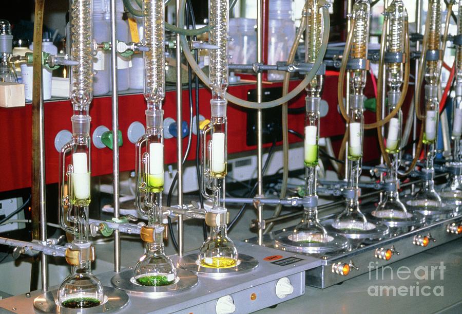 Distillation Of Antimalarial Drugs From Artemisia Photograph by Andy Crump, Tdr, Who/science Photo Library