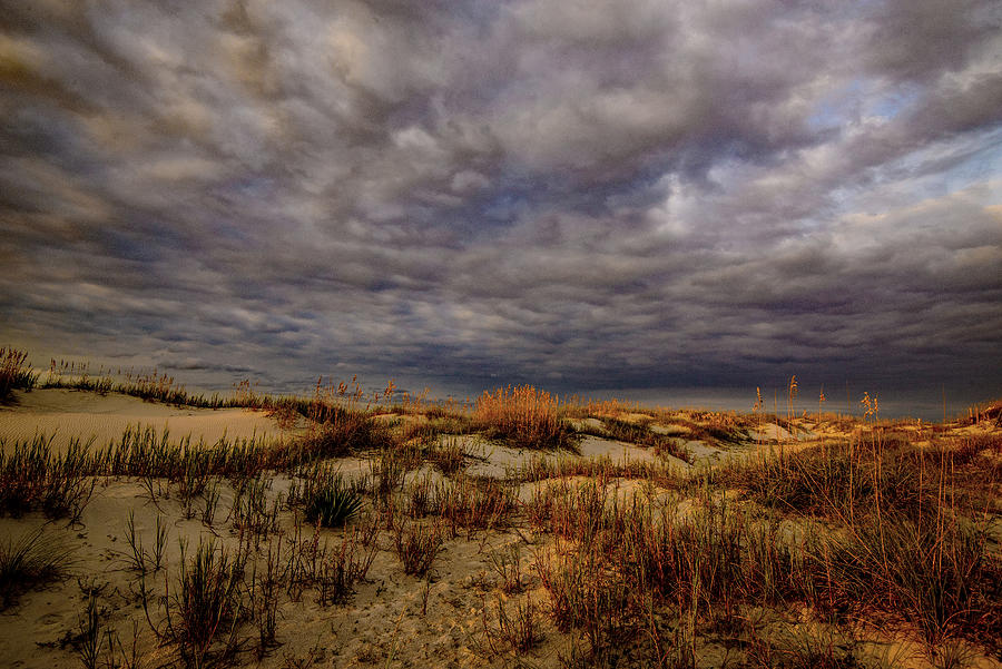 The Sea of Dunes Photograph by John Harding