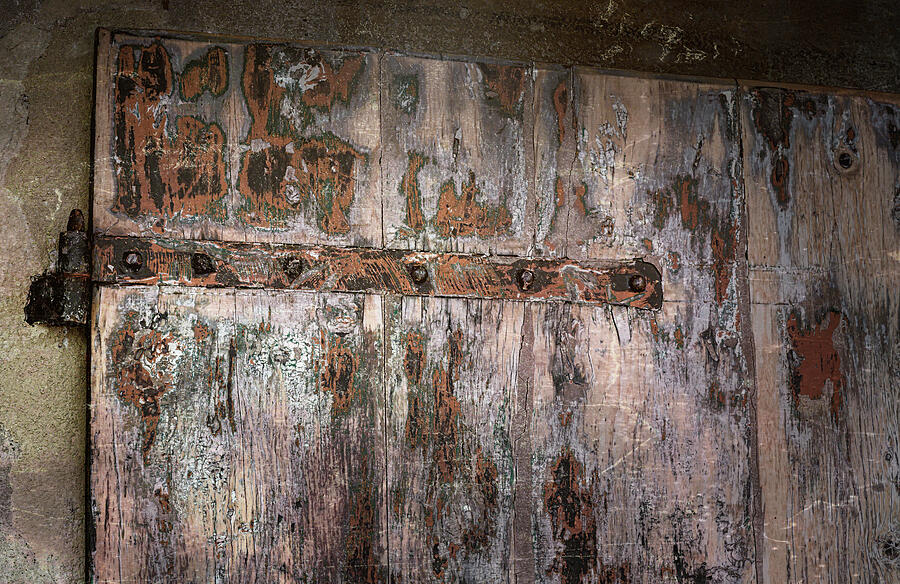 Distressed Door Photograph by Joan Carroll