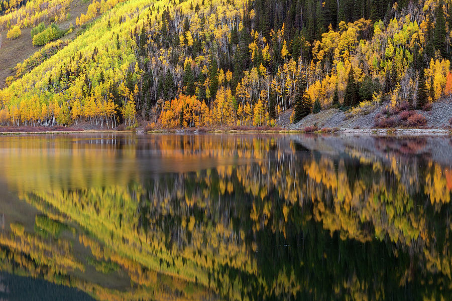 Disturbance Photograph by Jennifer Grover - Fine Art America