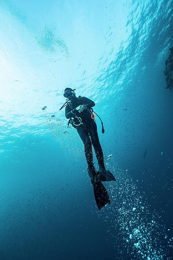 Diver Ascending To The Surface In The South Andaman Sea Photograph by ...