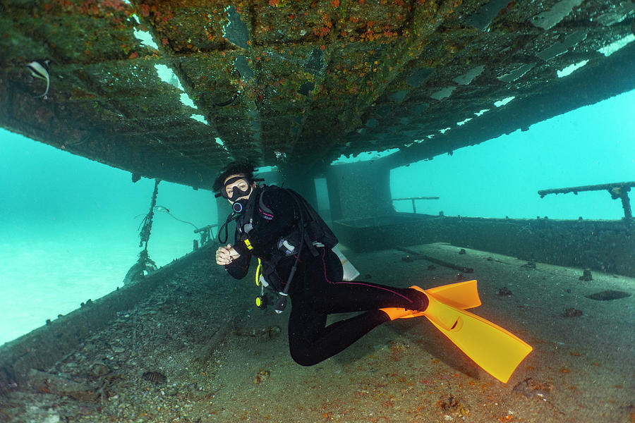 Boat Photograph - Diver Exploring Ship Wreck  On The Ocean Floor At Phuket by Cavan Images