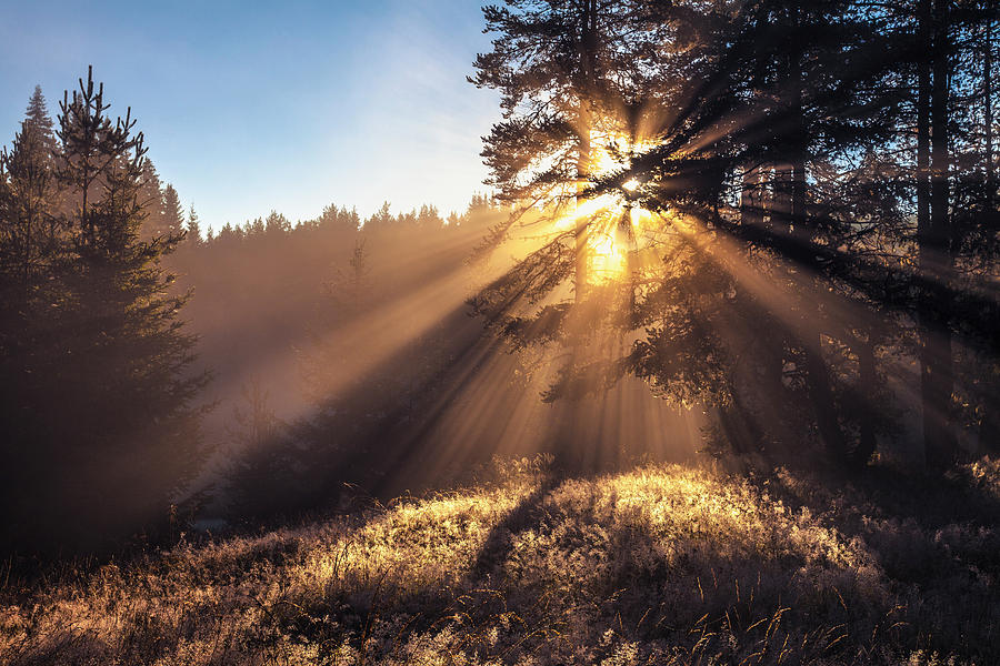 Divine Beams Photograph by Evgeni Dinev