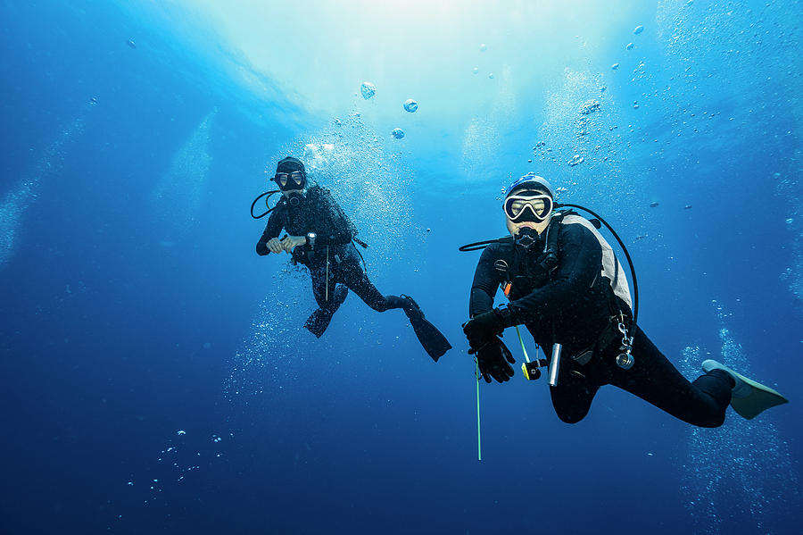 Diving Buddies Floating In The Clear Water Of The Gulf Of Thailand ...