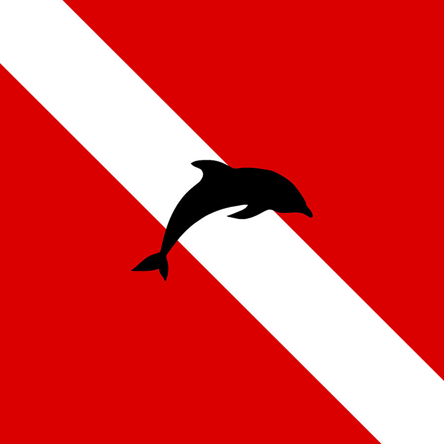 Diving Flag Dolphin Digital Art by Jared Davies - Pixels