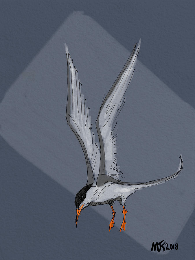 Diving Tern Digital Art by Michael Kallstrom