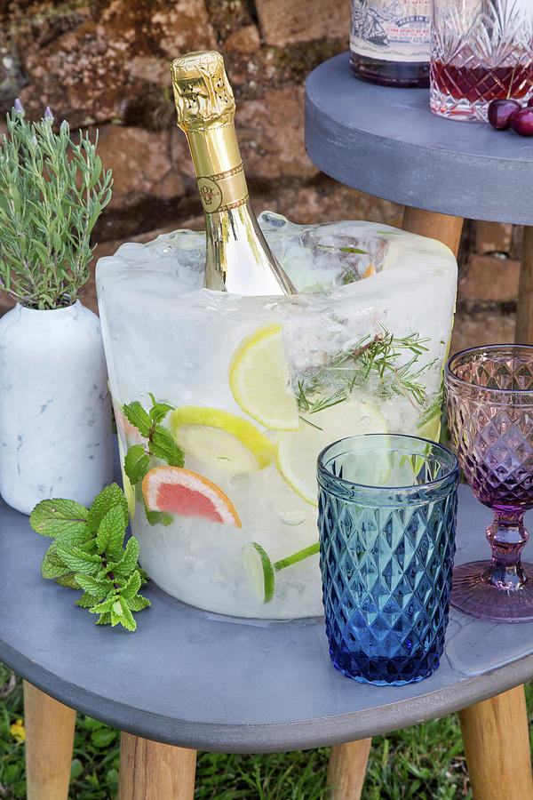 Diy Champagne Cooler On Ice With Frozen Fruit And Herbs Photograph by Great Stock!
