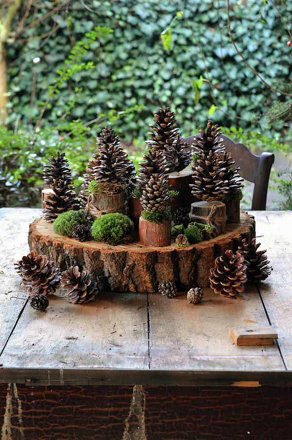Diy Decoration With Pinecones And Moss On Pieces Of Branch And A Wooden Disc Photograph by Christin By Hof 9