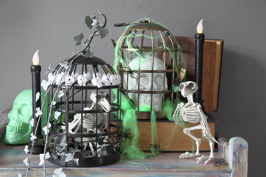 Diy Halloween Decorations: Bird Skeleton In Cage And Skull In Cage Photograph by Simon Scarboro