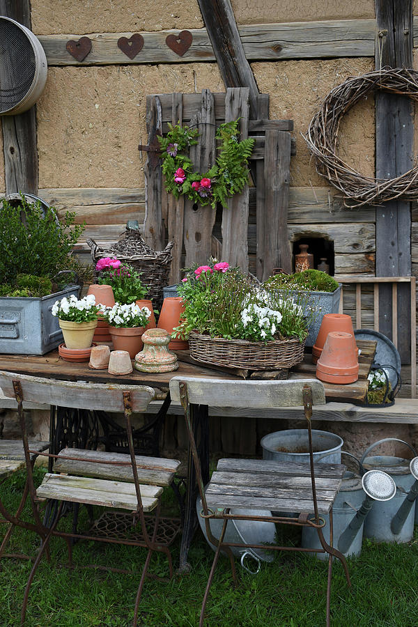 Diy Work Table Made From Old Wooden Door And Sewing Machine Frame At The Barn, Horned Violets And Ranunculus Photograph by Christin By Hof 9